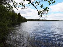 Saarijärvi, Kiesimenjärvi
