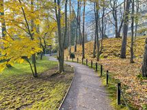 Alueella on luonto läsnä mm. kirsikkapuisto.