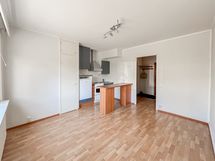 Kiva, valoisa kaupunkikoti loistavalla sijainnilla! Vesimaksu 0 €!