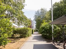 Taloyhtiön pihaa (vehreään aikaan)