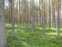 Kemijärvi, Soppela