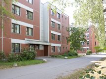 Sisäänkäynti (vehreään aikaan)