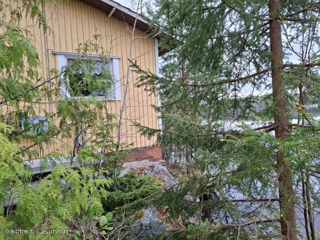 Asuntoilmoituksen kuva