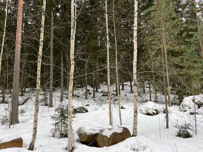 Tontti, 4 000 m², Lempäälä - Näkymä 4
