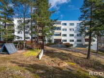 Mäntyjen reunustama piha-alue jatkuu myös talon toisella puolella.