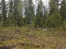 Pihtipudas, Alvajärven ranta- ja kyläosayleiskaava