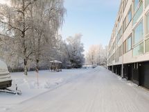 Piha rajoittuu takaosastaan puistoon
