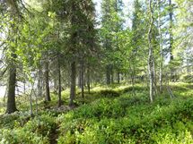 Rovaniemi-Karjalanjärvi