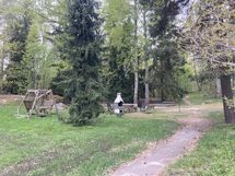 Pihaa