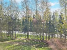 vehreät ikkunanäkymät
