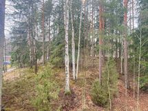 Rauhallinen näkymä luoteeseen.