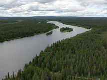 Kitinen (Peurasuvanto)