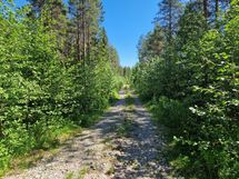 Sotkamo, Pieni-Kiimanen, Kaitainsalmi