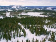 Pudasjärvi, Syöte, Pikku-Syöte