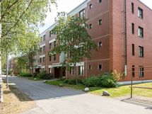 Sisäänkäynti (vehreään aikaan)