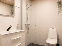 Alakerrassa erillis-wc, jossa on myös suihku.