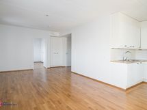 Olohuoneeseen yhdistyvä keittiö