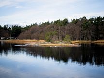 Vastaranta pohjoiseen