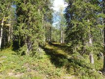 Salla, Sallatunturi, Seitakuja
