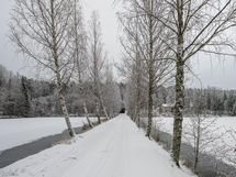 Lampitieltä näkymää kohti omakotitaloa.