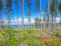 tontilla monta mahdollista rakennuspaikkaa