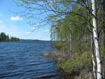 Kuhmo, Iivantiira, Saarensalmentie 