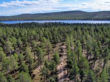 Näkymät Konesjärven suuntaan