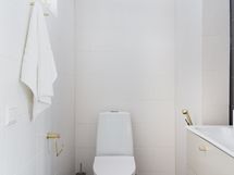 Alakerran erillinen WC
