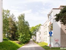 Kävelytie Herttuanpolku joka on ihan talon takana.