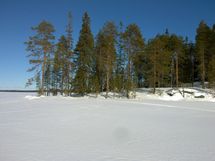 Taivalkoski, Koviojärvi