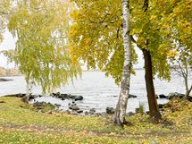 Elianderin uimaranta on ihana!