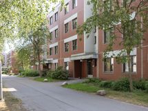 Sisäänkäynti (vehreään aikaan)