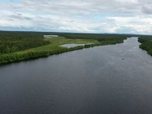 Kitinen