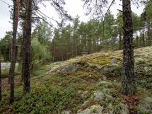 Salo, Särkisalo, Karhumäki