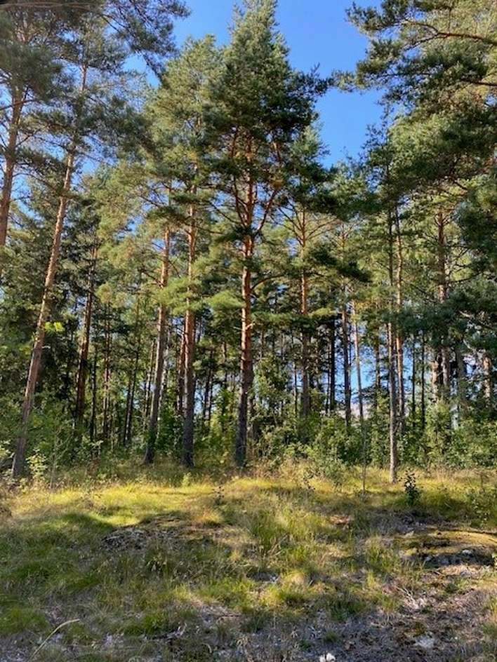 Tontti, 1 715 m², Karuna – pohled 4