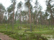 Jämijärvi, harjualue