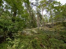 Salo, Särkisalo, Karhumäki