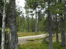 Sodankylä, Luosto