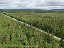 Mökkipalsta alhaalla, metsäpalsta tien toidella puolella