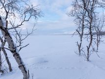 Enontekiö, Kilpisjärvi, Saanajoki