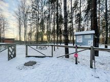 Tassullisille asukkaille lon n.500m päässä koirapuisto, jonka vierestä lähtee metsäiset lenkkipolut.