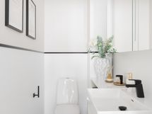 Erillinen wc