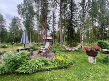 Pihaa