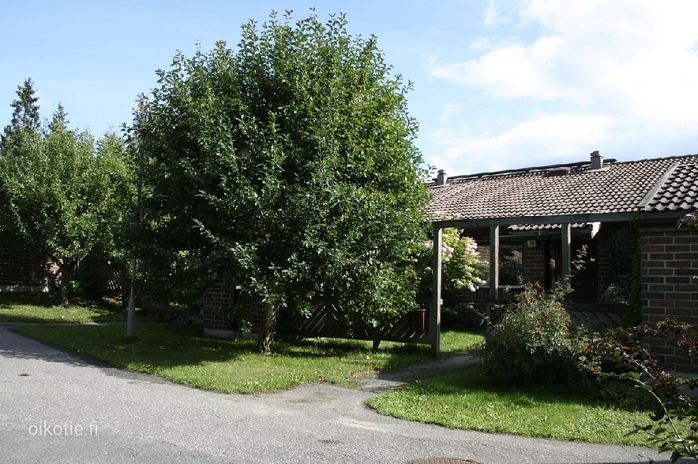 Talokuva