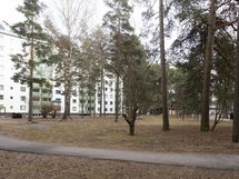 Taloyhtiön piha-aluetta