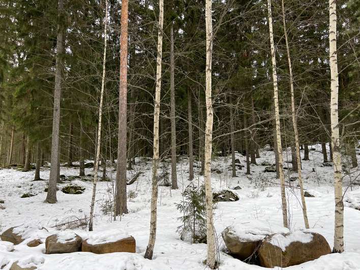 Tontti, 4 000 m², Lempäälä - Näkymä 3