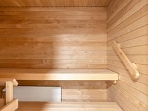 Asunnon A29 sauna