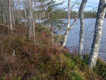 Hyrynsalmi, Teerijärvi-Koirajärvi