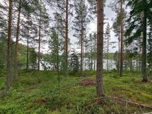 Kaavi, Rauvanlampi