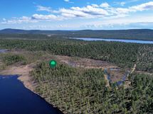 Ahvenjärven rannalla vapaa-ajan asunnolle sopiva rakennuspaikka, takana häämöttää Konesjärvi